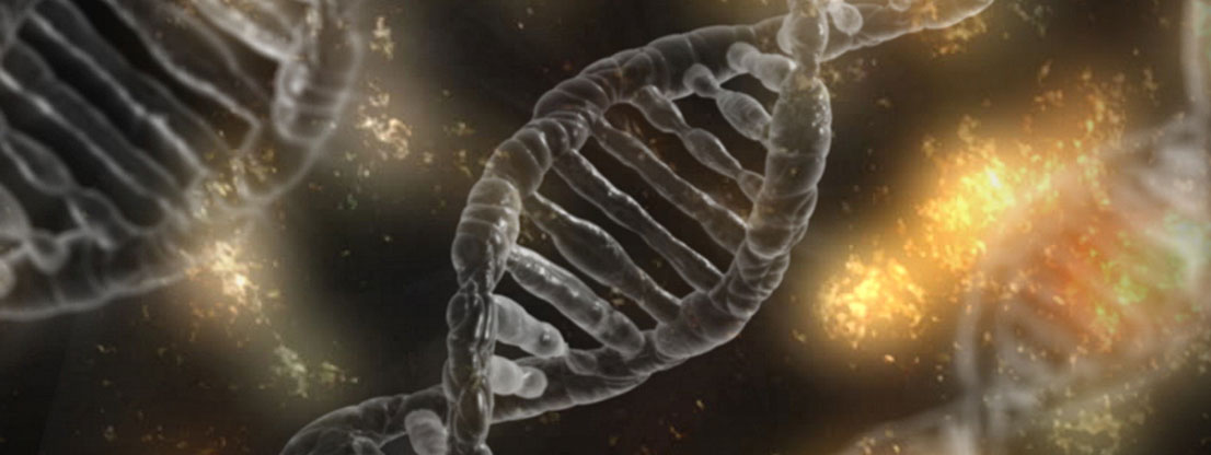 Epigenetik in der DNA