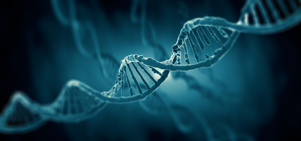DNA Doppelhelix, Epigenetik