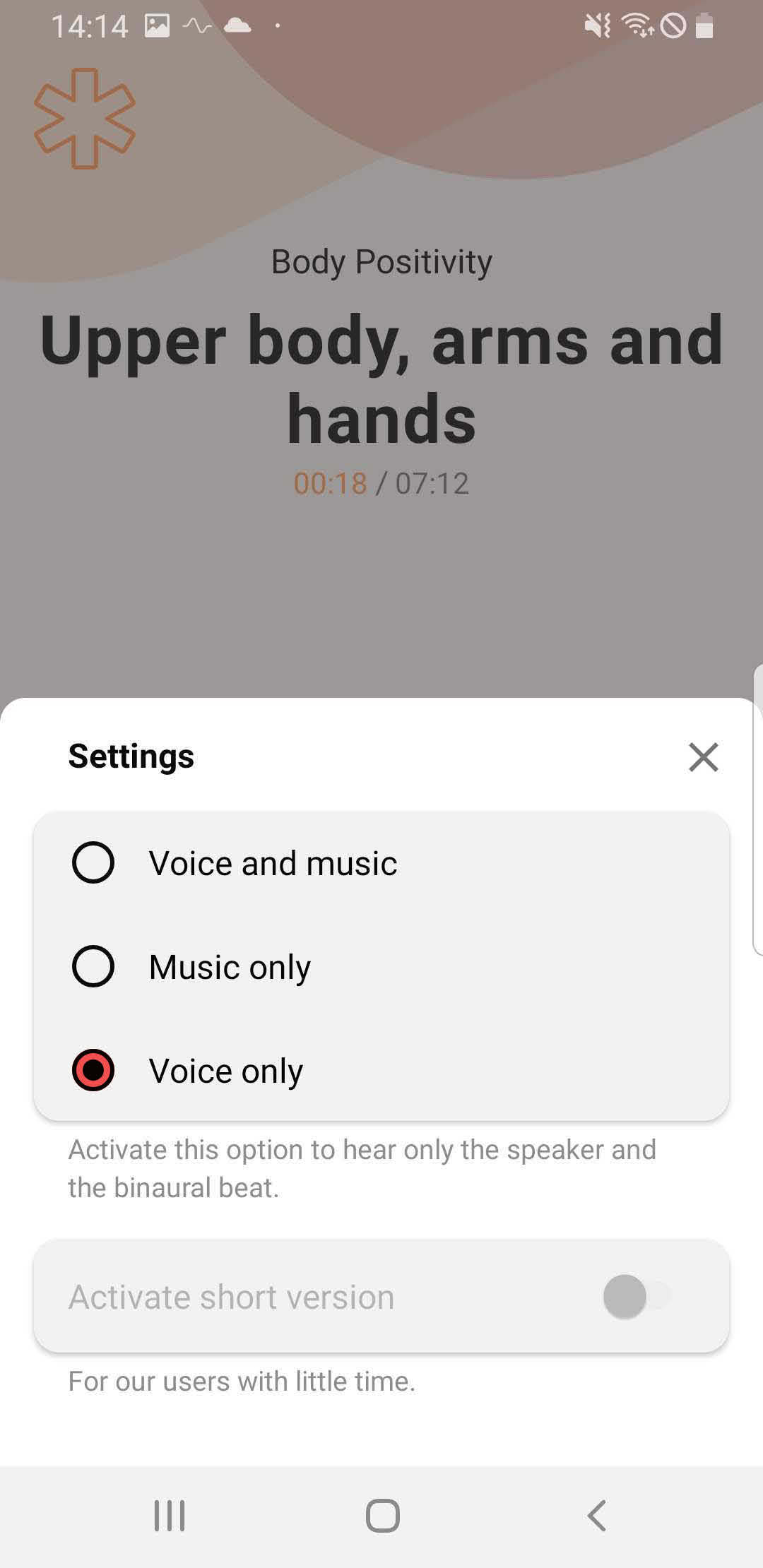 choose voice only as a mediation option