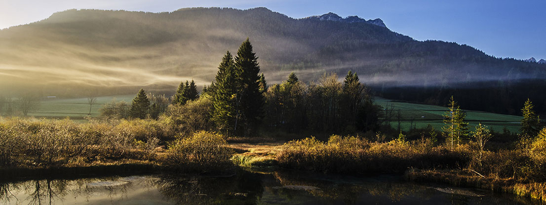 World of sound with relaxation music, meditation in nature