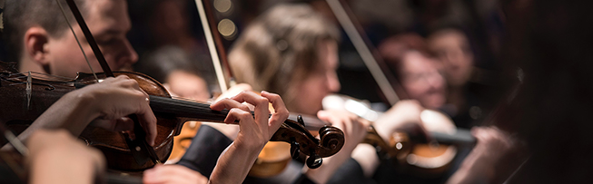Vom Klang zur Emotion – Warum Musik uns bewegt Geigen Musiker:innen