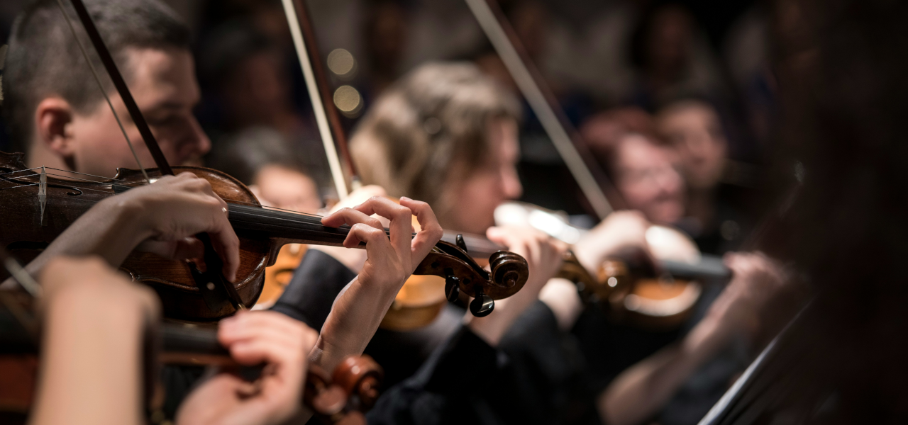 Vom Klang zur Emotion – Warum Musik uns bewegt Geigen Musiker:innen